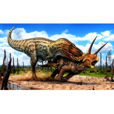 A4TRex22 Vafa T Rex vs Triceratops